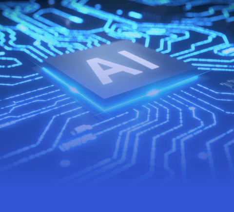 新手入门指南：mk体育中国